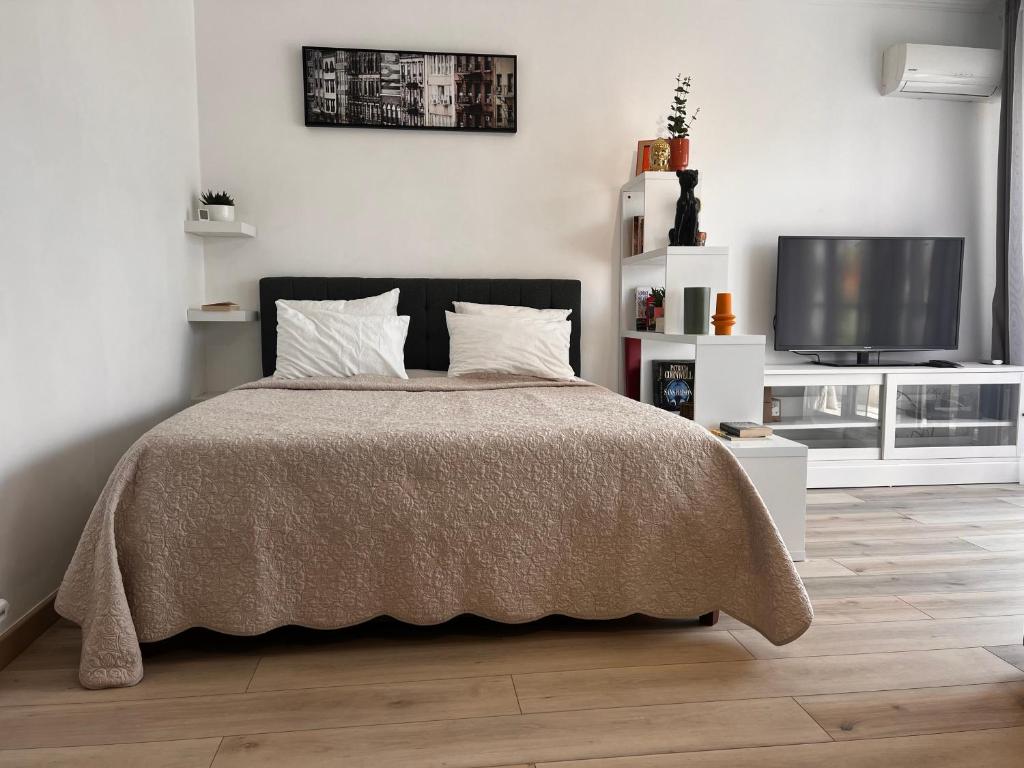 Spacious Studio 7