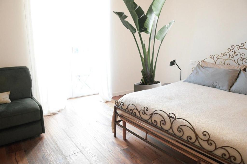 Amira home 7