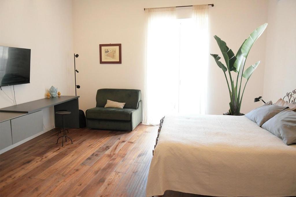Amira home 5