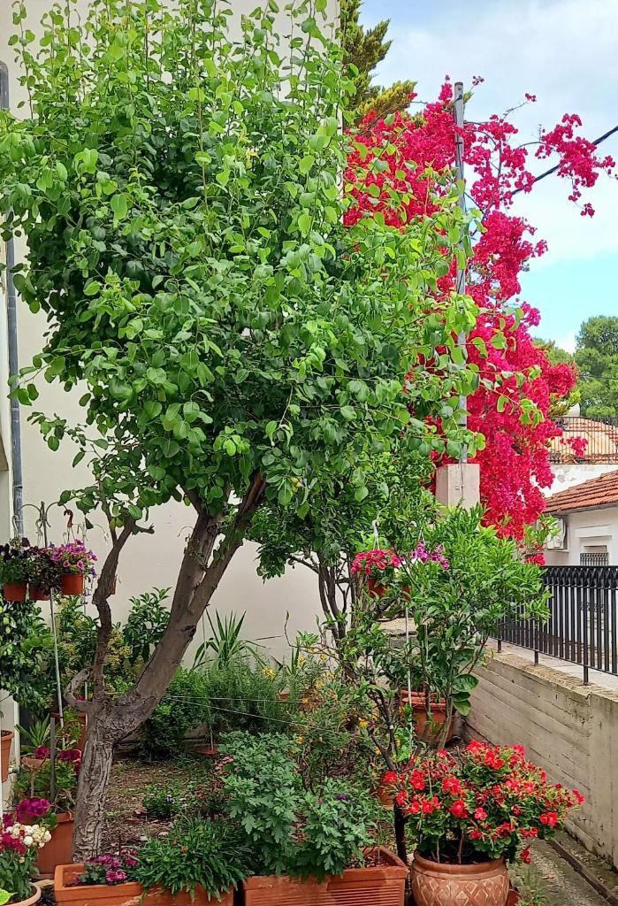 Villa Malena Volos Alykes beach 7