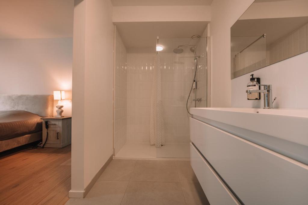 New Luxury Apartments in Antwerp Center 6