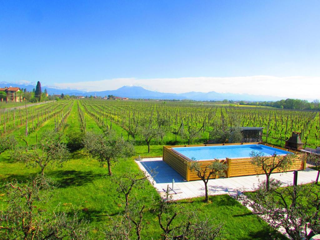 une villa avec une piscine dans un vignoble dans l'établissement TABACHERA x10 Cascina with Private Pool Sirmione GARDA LAKE, à Pozzolengo