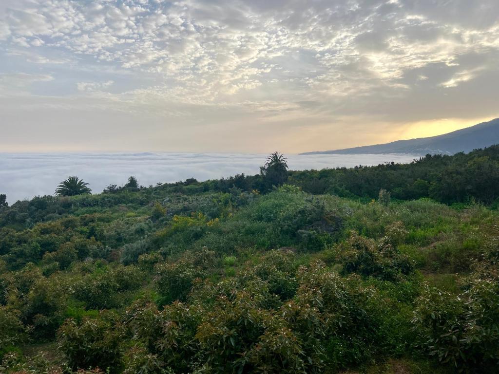 Casa Vacacional Bevi - Tenerife Norte 2