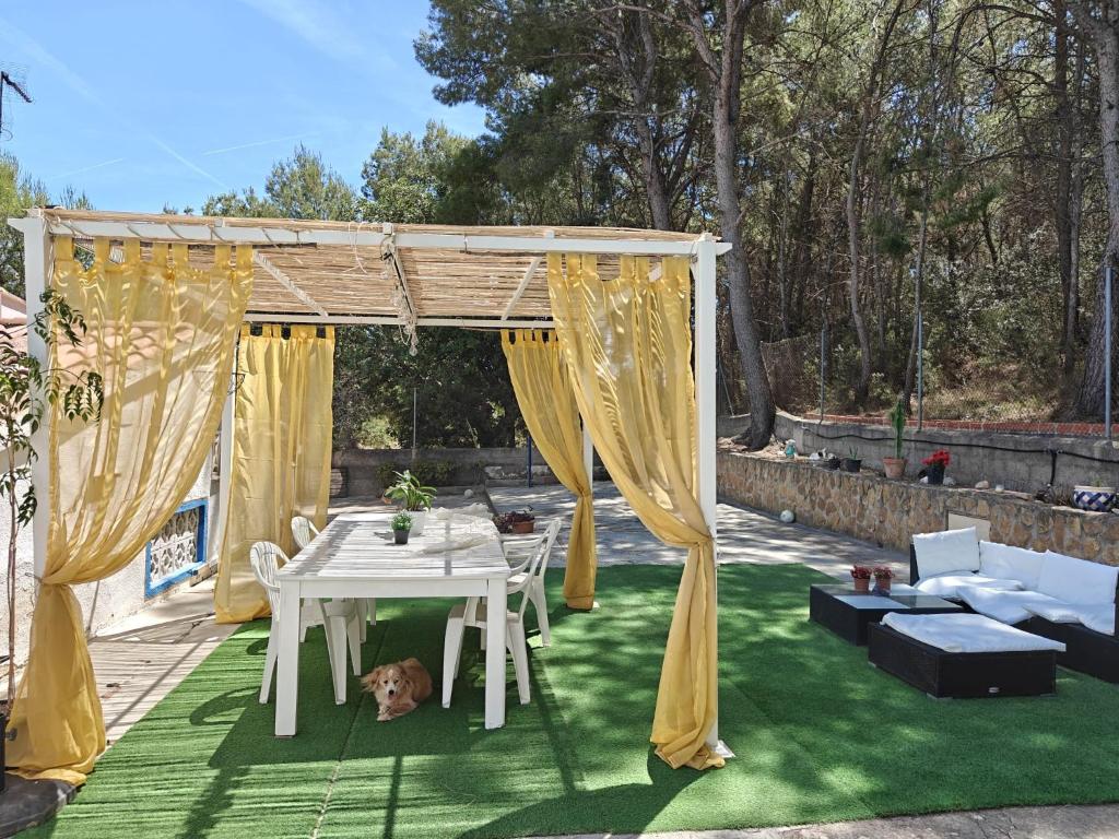Buenas vistas y privacidad, tranquila y fresca villa en el bosque de Valencia con una magnífica piscina de 80m2 7