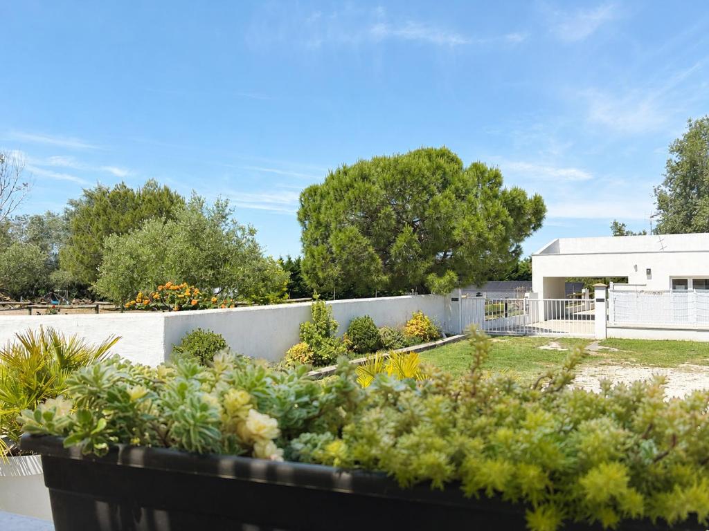 LES MAISONS DU PATY 7