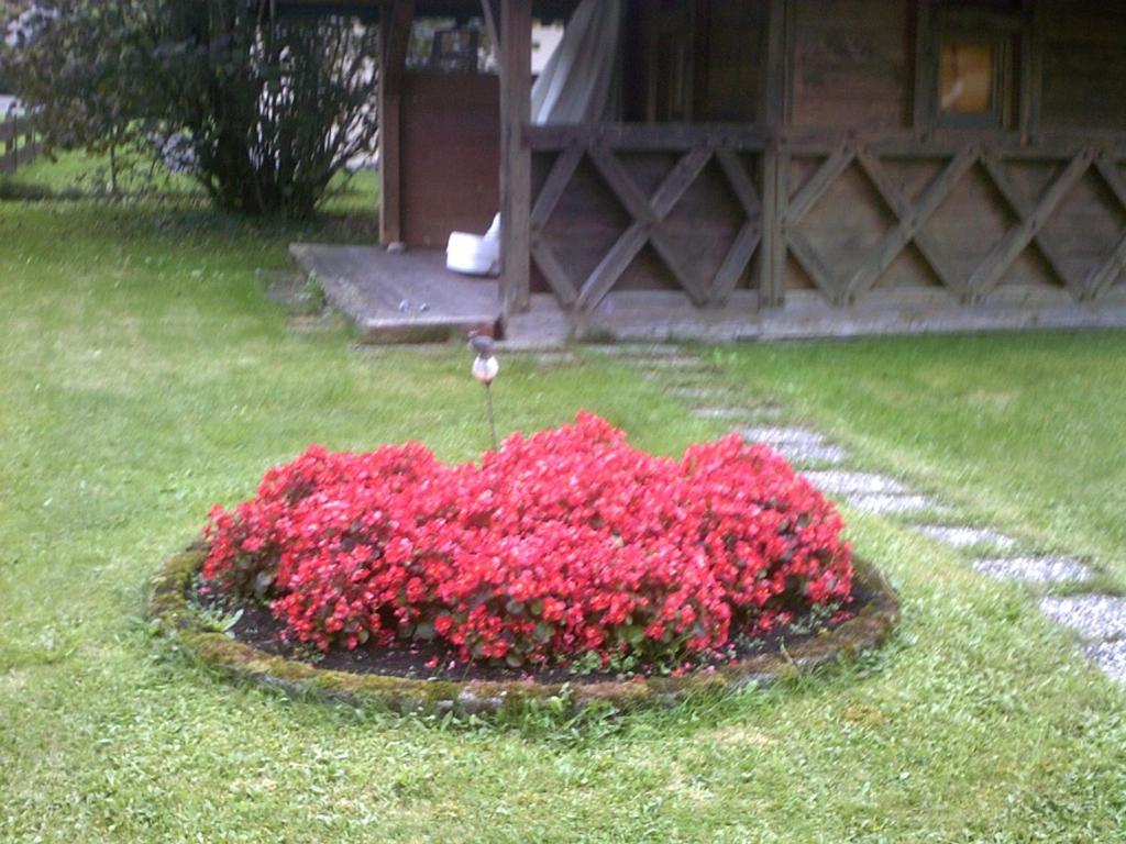 Haus Alpenblick inkl. Chiemgaukarte 8