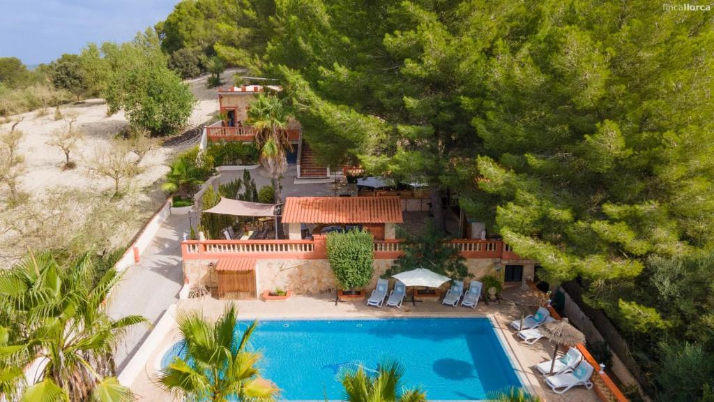 Finca Montana 4