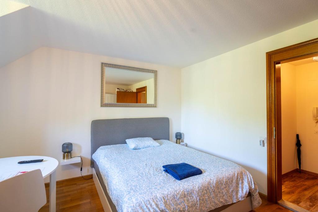 Studio 8 Rhine View - Quiet and Cozy - 10min Walk to City Center, 15min to Main Station 7