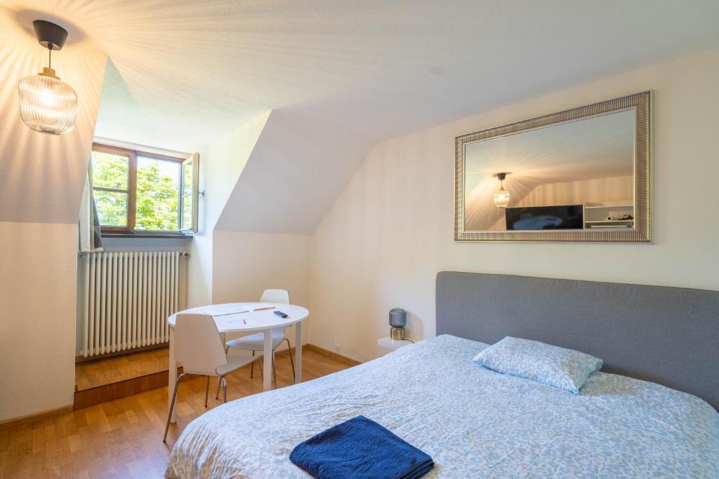 Studio 8 Rhine View - Quiet and Cozy - 10min Walk to City Center, 15min to Main Station 2
