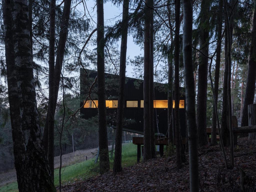 Blackview cabin 8