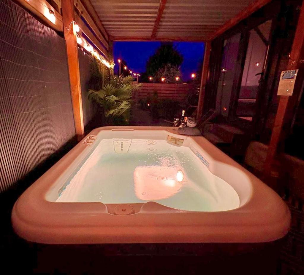 Charming Tiny House with Private Jacuzzi, Sauna and Garden & Free Parking between Amsterdam Haarlem and Schiphol Airport 3