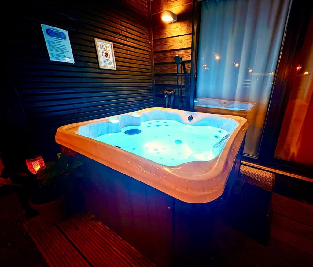 Cozy wellness family house with private garden & jacuzzi & sauna between Amsterdam Haarlem and Schiphol Airport 6