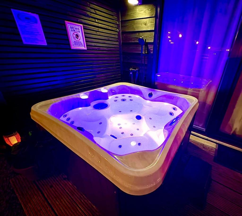 Cozy wellness family house with private garden & jacuzzi & sauna between Amsterdam Haarlem and Schiphol Airport 7