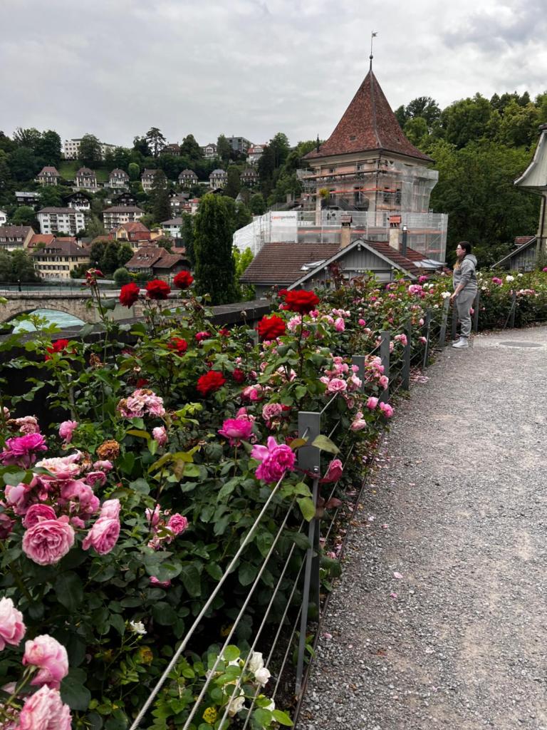 Apartments in Bern - Green Relax 5