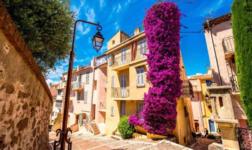 3BR Sea View Apartment Private Terrace Steps to Old Town & Palais 5