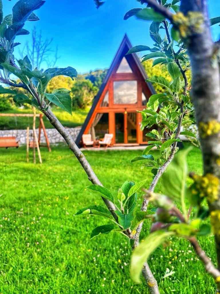 Albero Casa 6