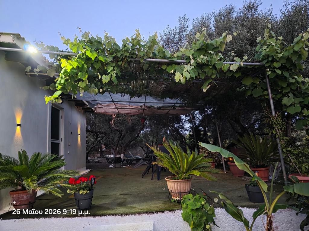 CORFU OASIS studio 8