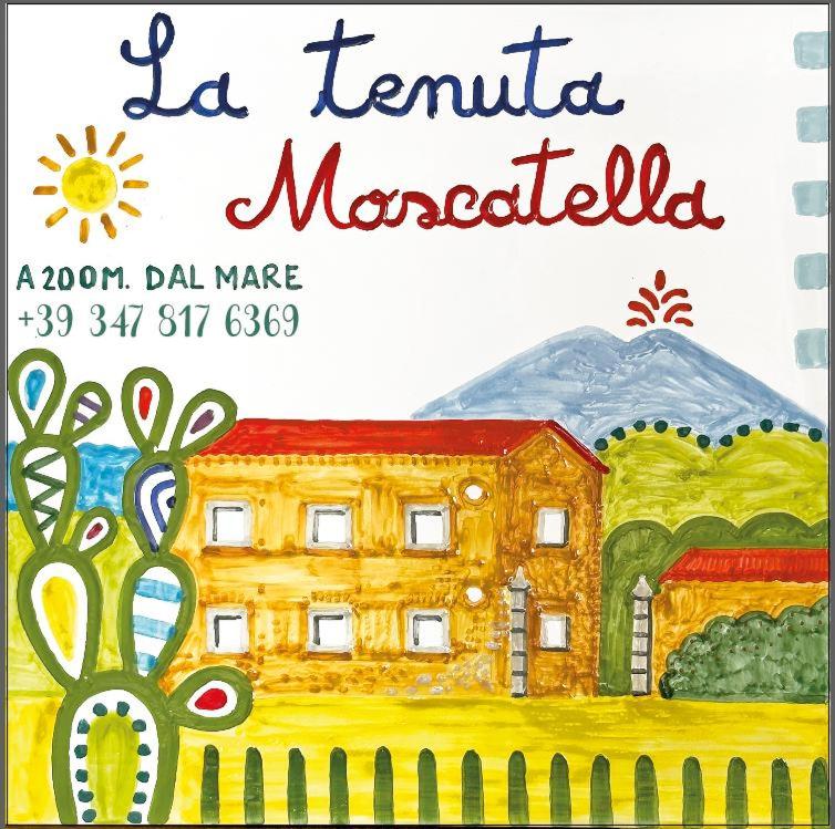 La tenuta Moscatella a 200m dal mare 8