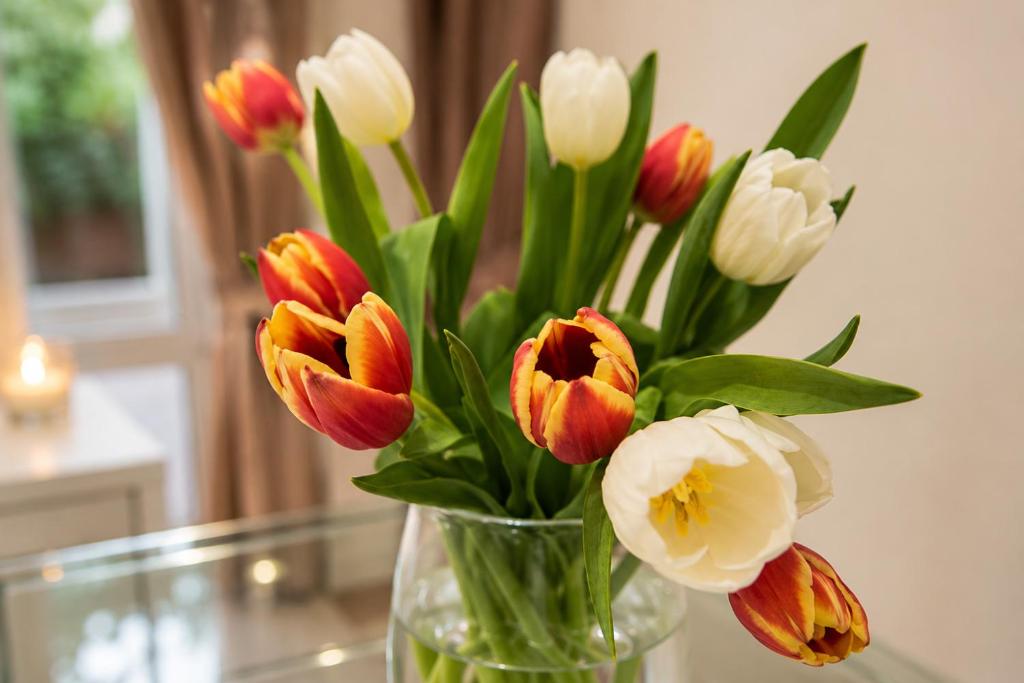 Ammos Elegant Luxury Apartment 7