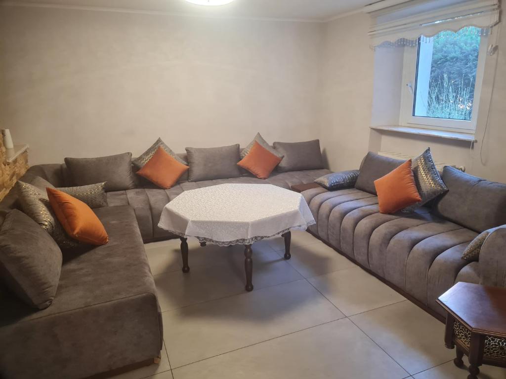 Sehr grosse 5 Zimmer Wohnung mit Garten und terasse 3