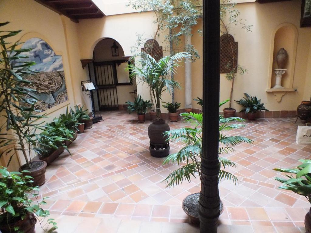 Ático Las termas 6