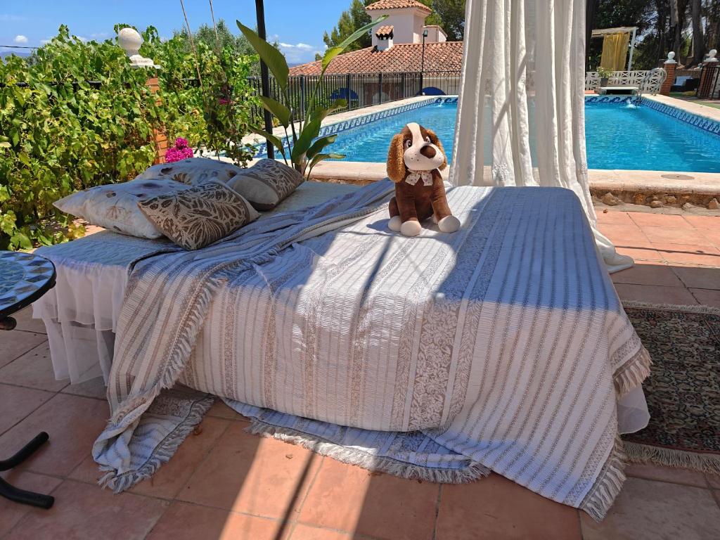 Buenas vistas y privacidad, tranquila y fresca villa en el bosque de Valencia con una magnífica piscina de 80m2 3