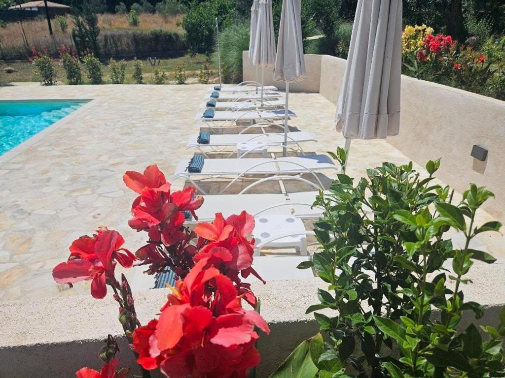 Sundial Houses - Pool & Garden 2