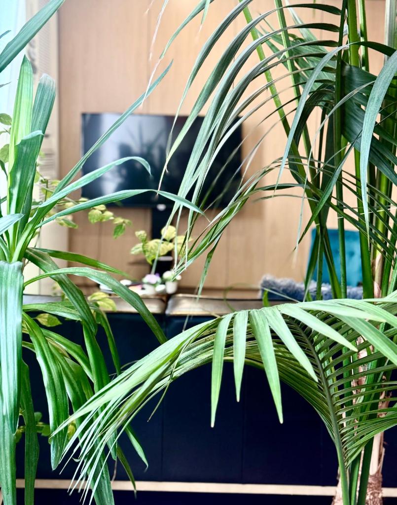 Maison indépendante Stylée climatisée 98m2 4
