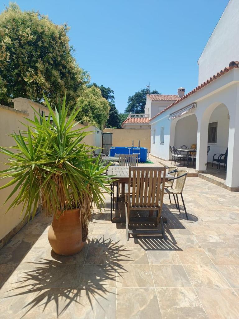 Oasis de paz en el Campo de Gibraltar 7