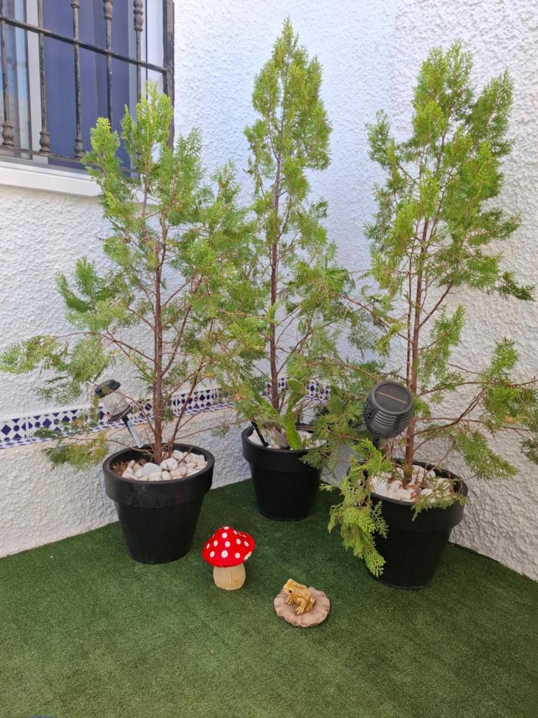 Villa in La Marina with cozy garden and private solarium 8