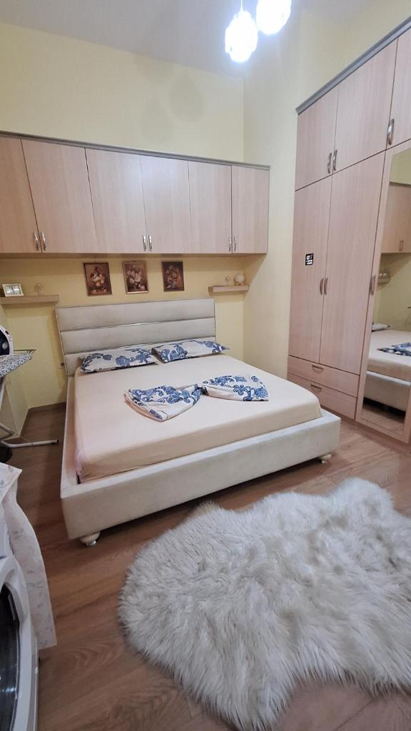 Nice Apartament in the city Center 2