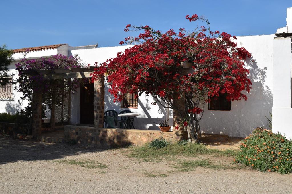 Cortijo La Molina de Cabo de Gata 2