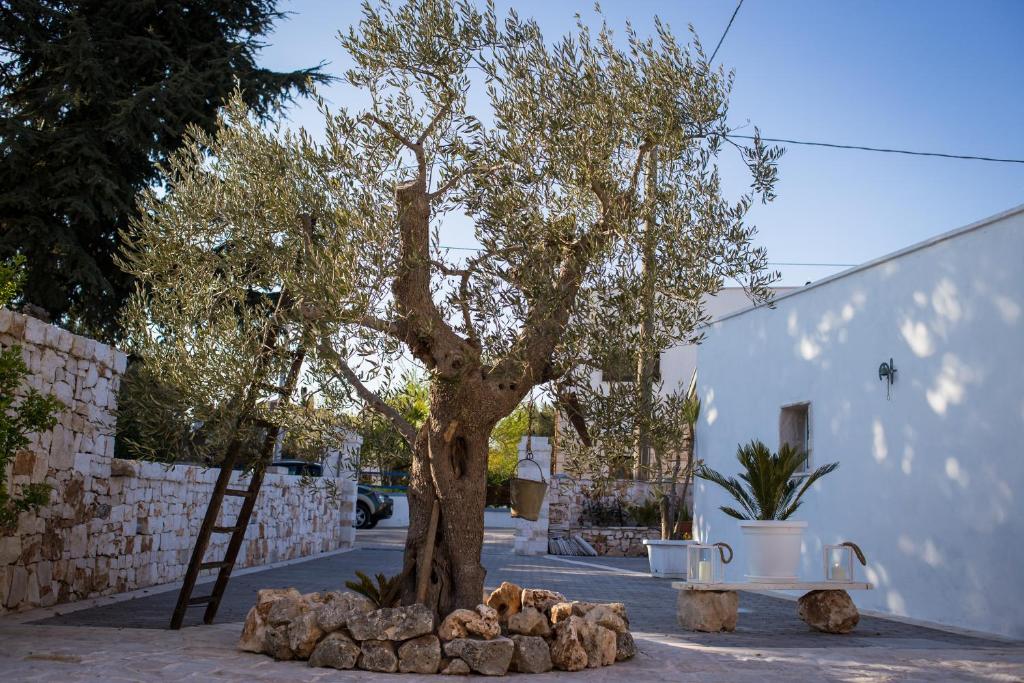 Trullo del Sorriso 6