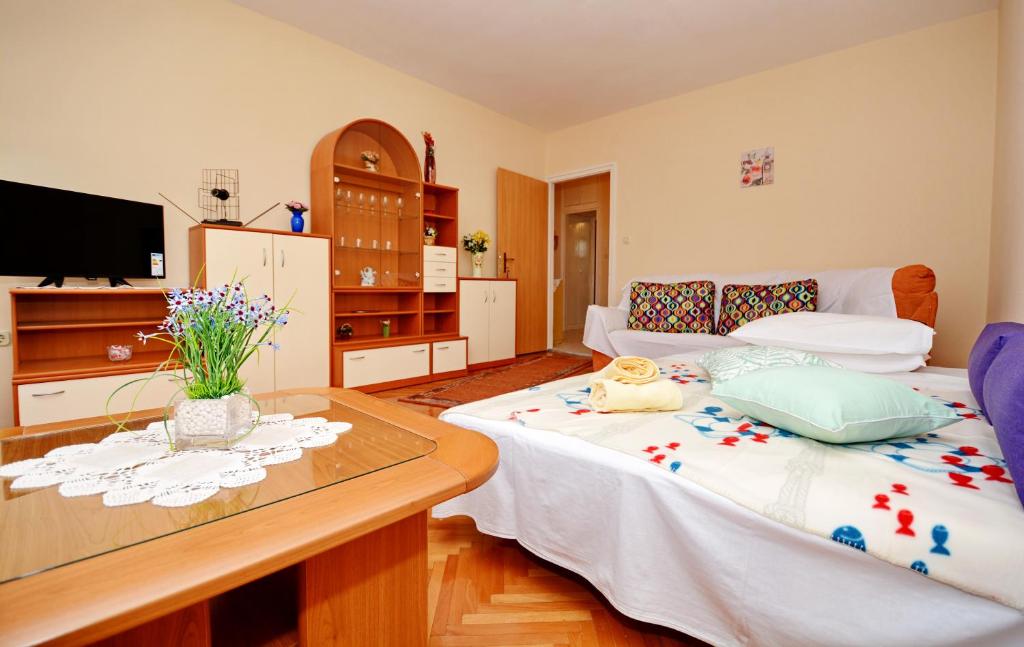 Apartment Franko 7
