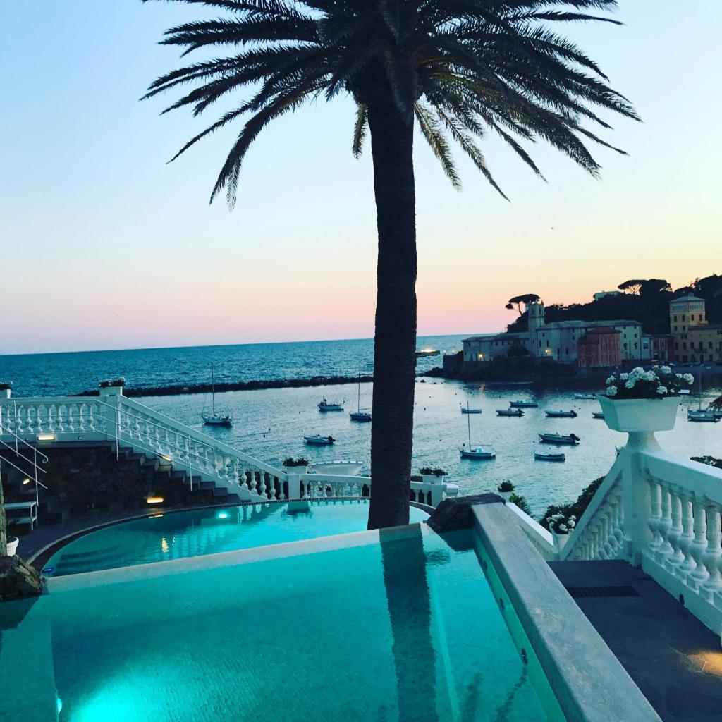 une piscine avec un palmier et l'océan dans l'établissement Hotel Helvetia, à Sestri Levante