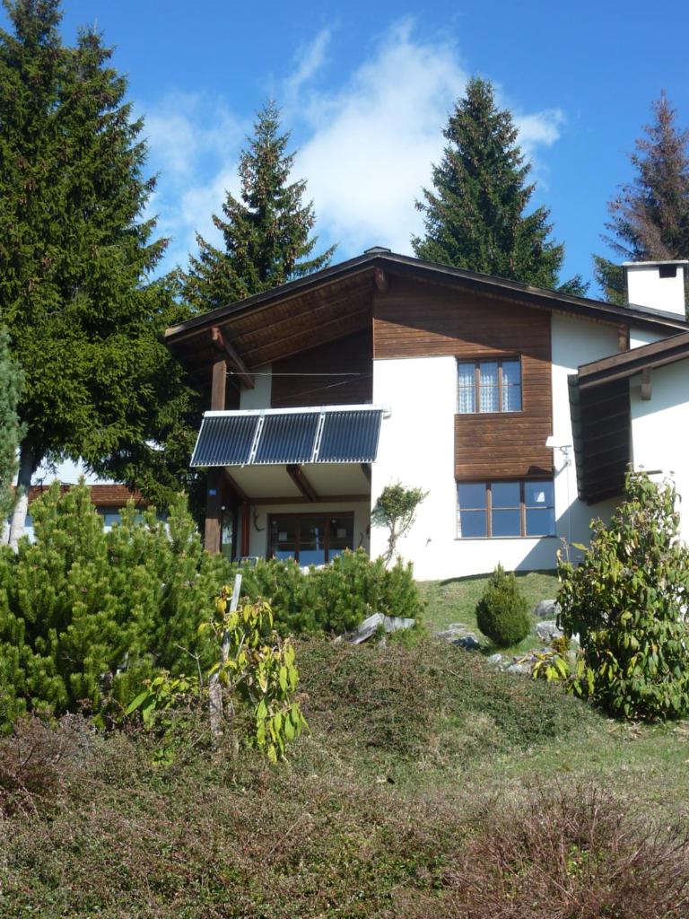Arnika Montana