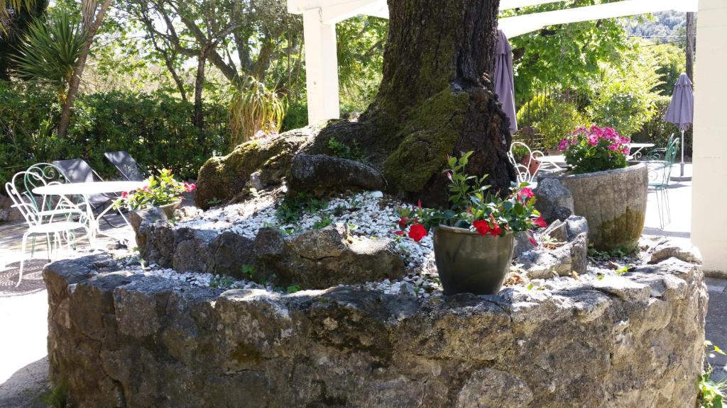 Le Clos du Loup 7