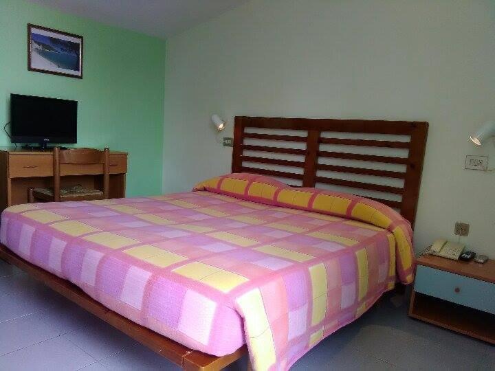 une chambre avec un grand lit et une télévision dans l'établissement Hotel Vela Velo Club Vieste, à Vieste