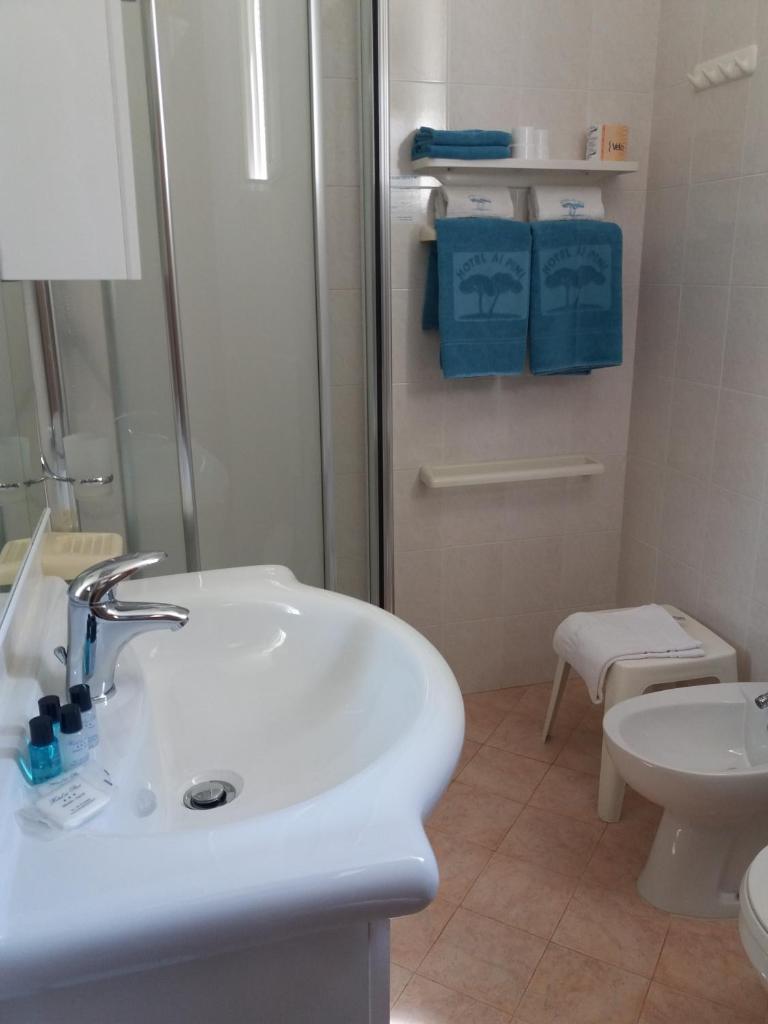 une salle de bain blanche avec un lavabo et des toilettes dans l'établissement Hotel Ai Pini, à Grado