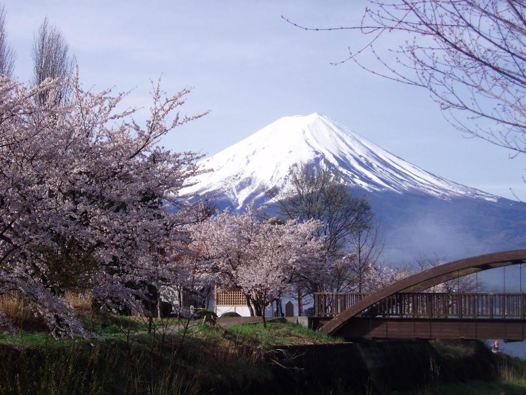 une montagne enneigée avec un pont et des arbres kura dans l'établissement Komaya Ryokan, à Fujikawaguchiko