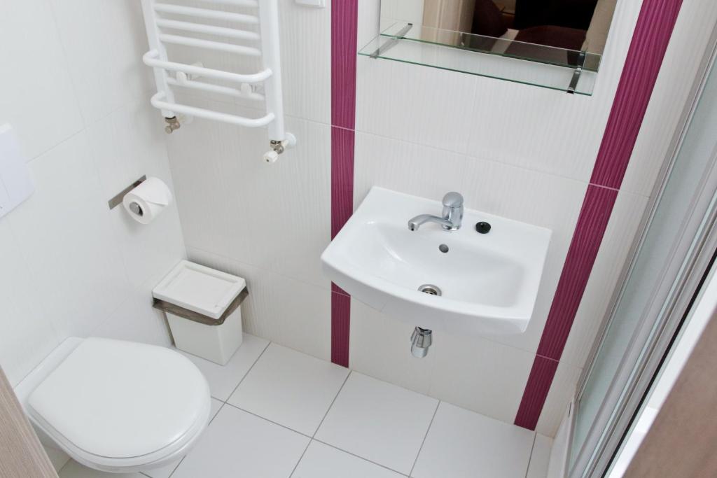 Pokoje Goscinne Steyera 30 Ozonowane - 19