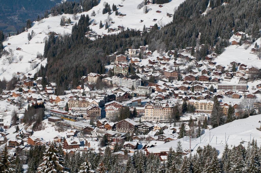 Hotel Edelweiss photo