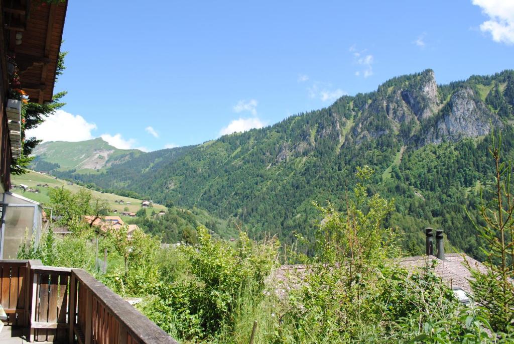 Paisatge natural a prop de l'apartament