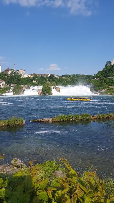 a view of a river with a boat in it at Fewo Near Rheinfall in Jestetten