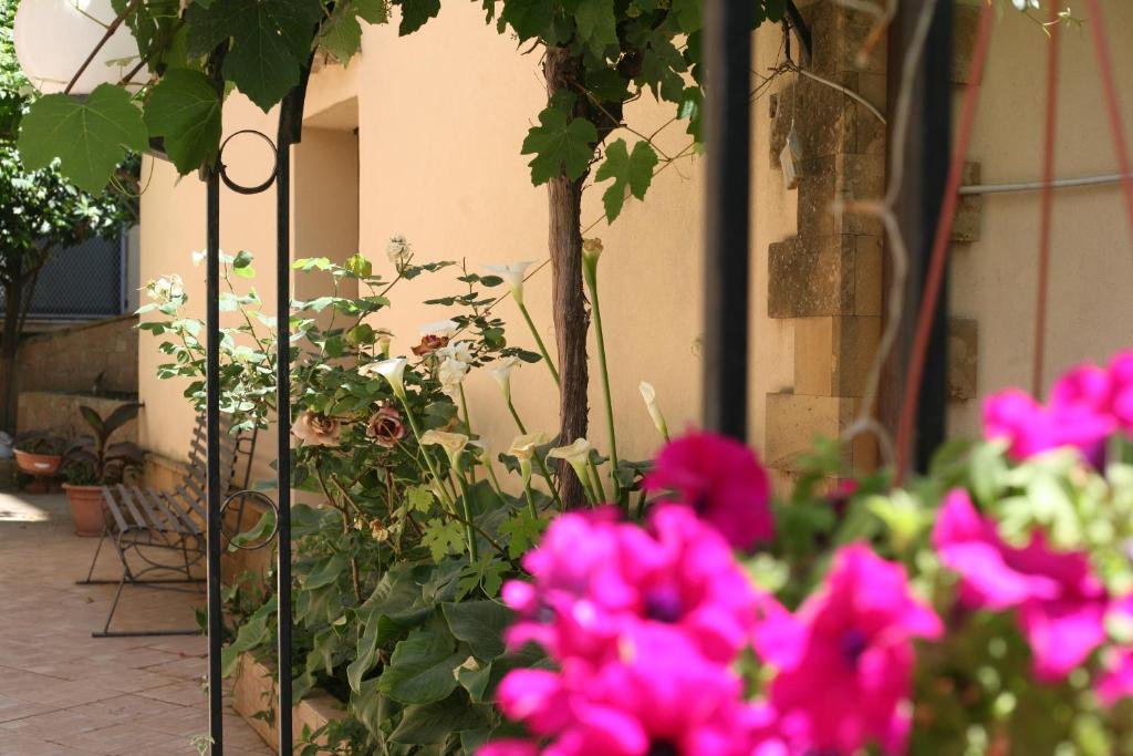 różowe kwiaty w ogrodzie w obiekcie Appartamento A Casa di Gesuè w mieście Piazza Armerina