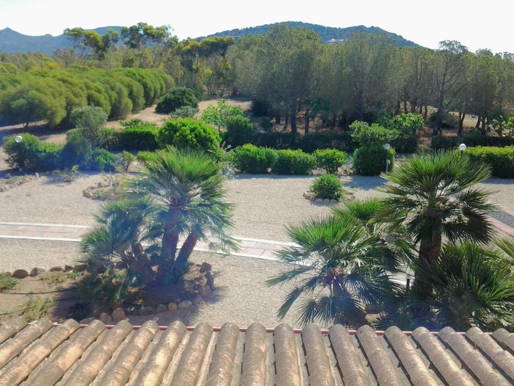 a view of a garden with palm trees and a roof at Hotel Su Giudeu in Chia