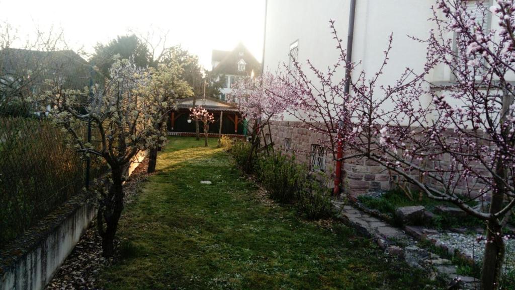 Gîte "La Baloise" – photo 21