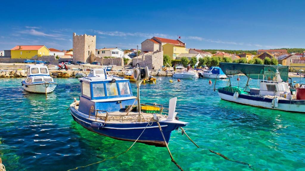 grupa łodzi zakotwiczona w porcie w obiekcie House For Holidays Kozul w Ražancu