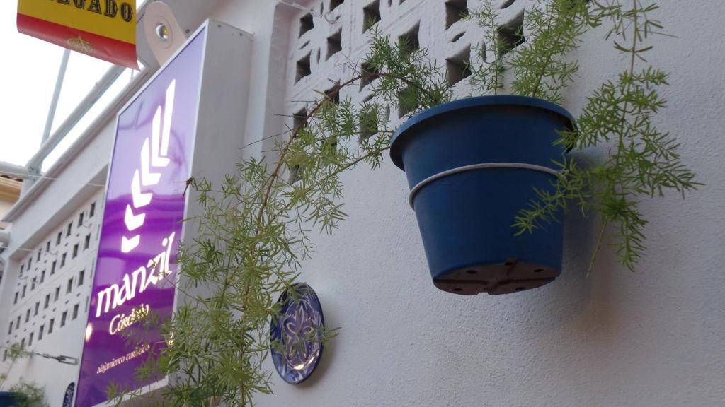 コルドバにあるManzil Cordobaの建物横の青鉢植え