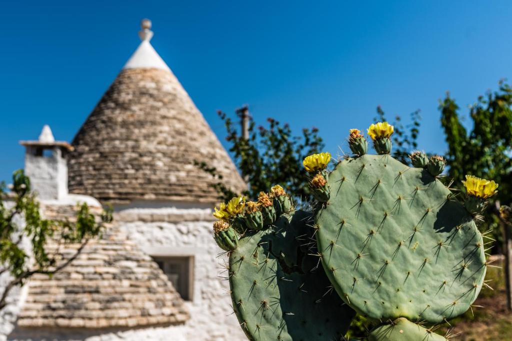 Fotografie z fotogalerie ubytování Trullo Picchiagiuda v destinaci Ostuni